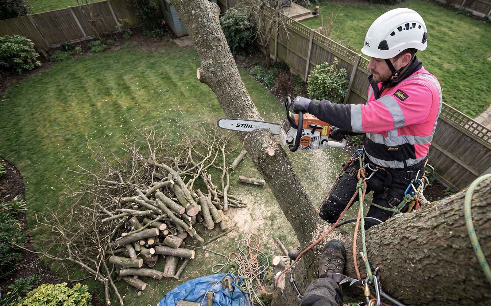 G4orce Tree Surgery Work